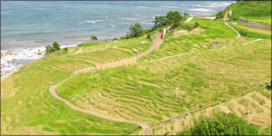 能登 輪島の千枚田 能登 輪島の千枚田